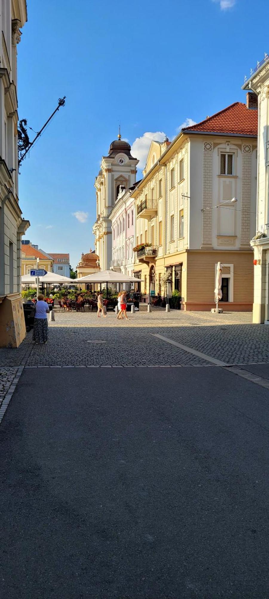 Pacha Residence Timisoara Esterno foto
